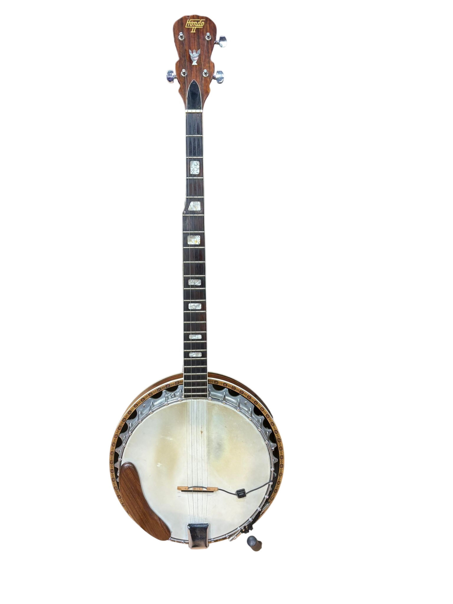 Hondo 2 5 String Semi Acoustic Banjo