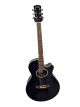 Suzuki SLCE-38BLS - Blue Guitar - Collection Only